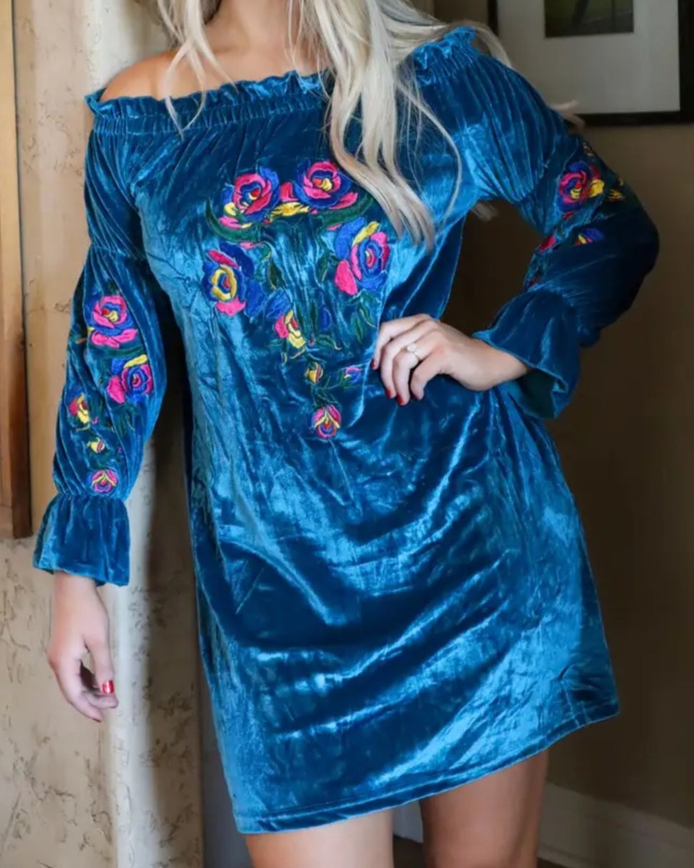 Blue Skies Velvet Embroidered Dress